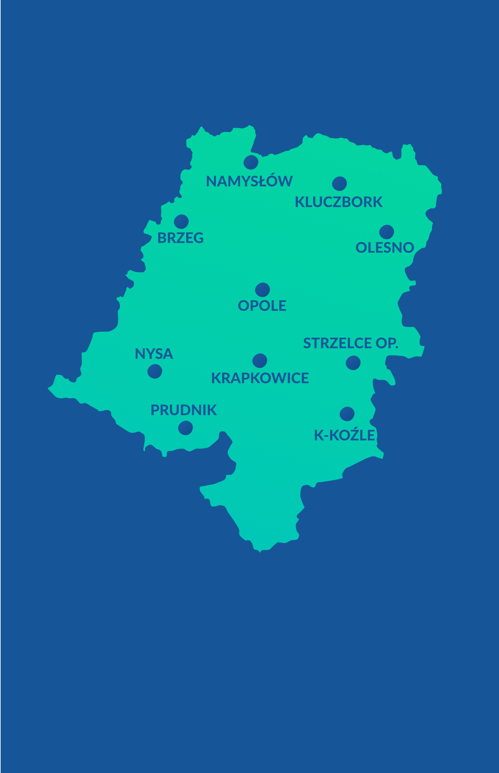 Opole, Kedzierzyn-Kożle, Kluczbork, Prudnik, Nysa, Strzelce Opolskie, Namysłów